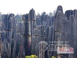 世界遺産 石林 と 九郷鍾乳洞 1日 日帰り ツアー
