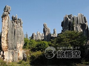 世界遺産 石林 と 西山 龍門 1日 日帰り ツアー