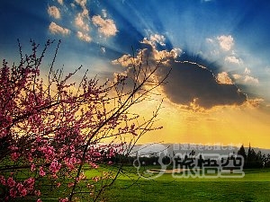 昆明 スプリングシティー ゴルフ クラブ レイク リゾート