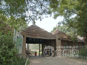 沈阳新楽遺址