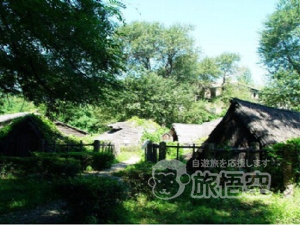 沈阳新楽遺址