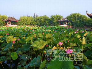 蠡園 無錫
